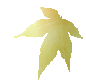 微信图片_20250320162039.gif